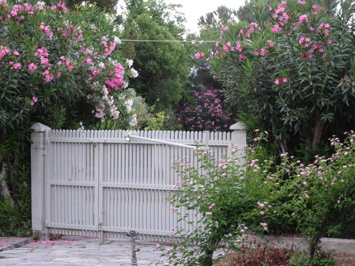 Spitaki Villa Pefkochori Dış mekan fotoğraf